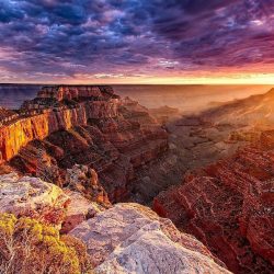 Meditation and Free Videos