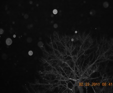 Growing up Awake: A life of many experiences, now filled w/ orbs of light! with Chris Rawls