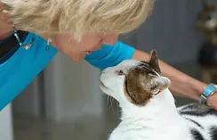 Animals as Messengers, STEr Diane Jackson